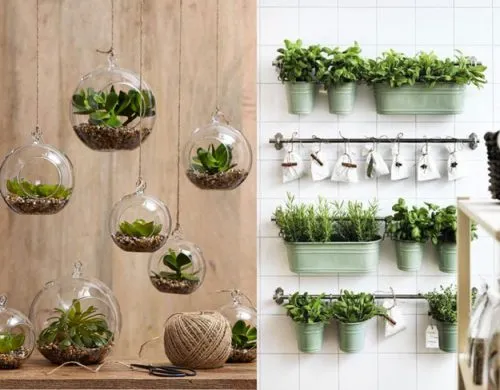 گل آرایی منزل