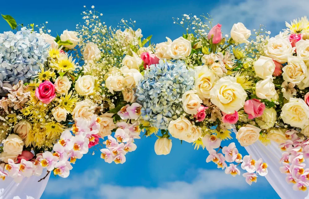 گل آرایی تهرانپارس