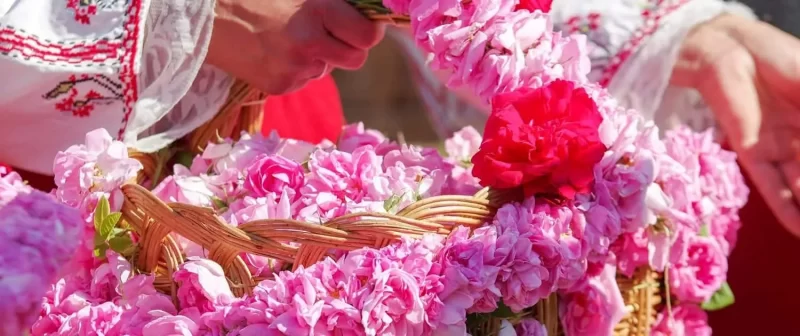 گل آرایی در سعادت آباد