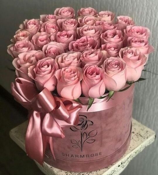 انواع باکس گل رز