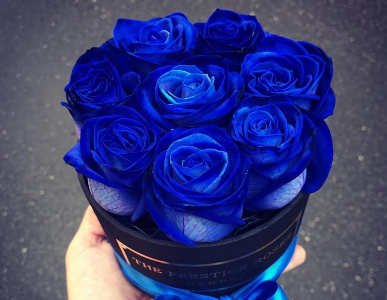 ایده هایی برای طراحی باکس گل رز با تم آبی