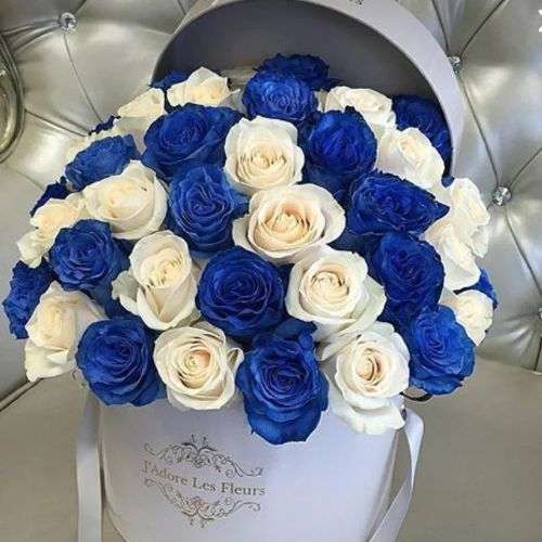 انواع باکس گل رز آبی و سفید