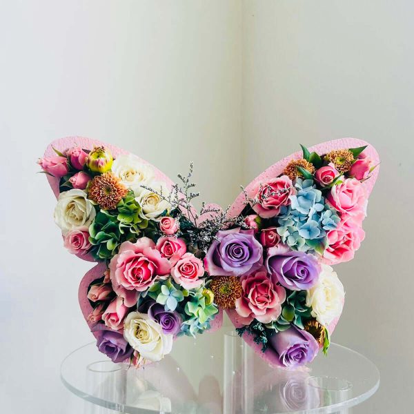 باکس گل پروانه ای