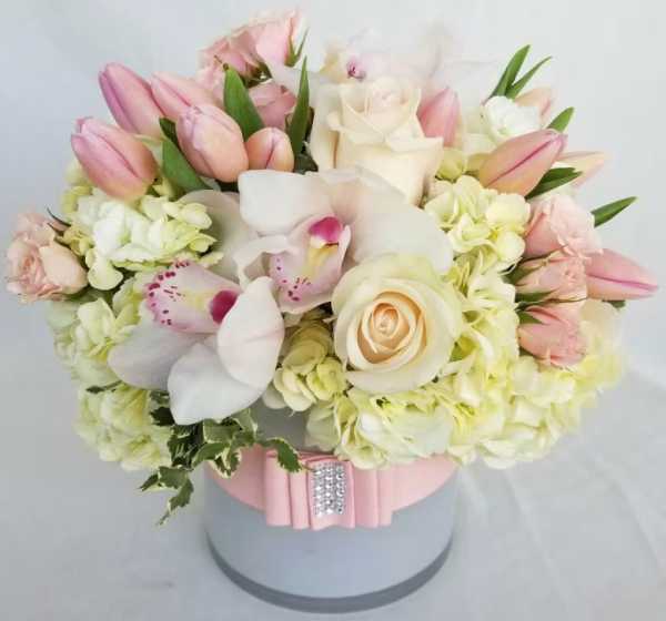 بهترین گل برای تولد نوزاد