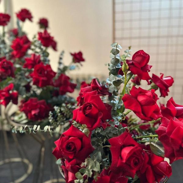 دیزاین تولد